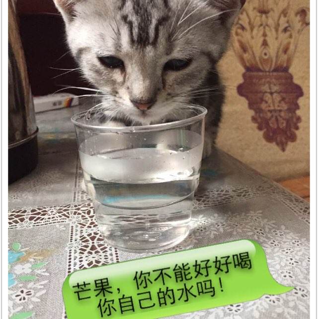 大阪経済法科大学环境科学学位证书
